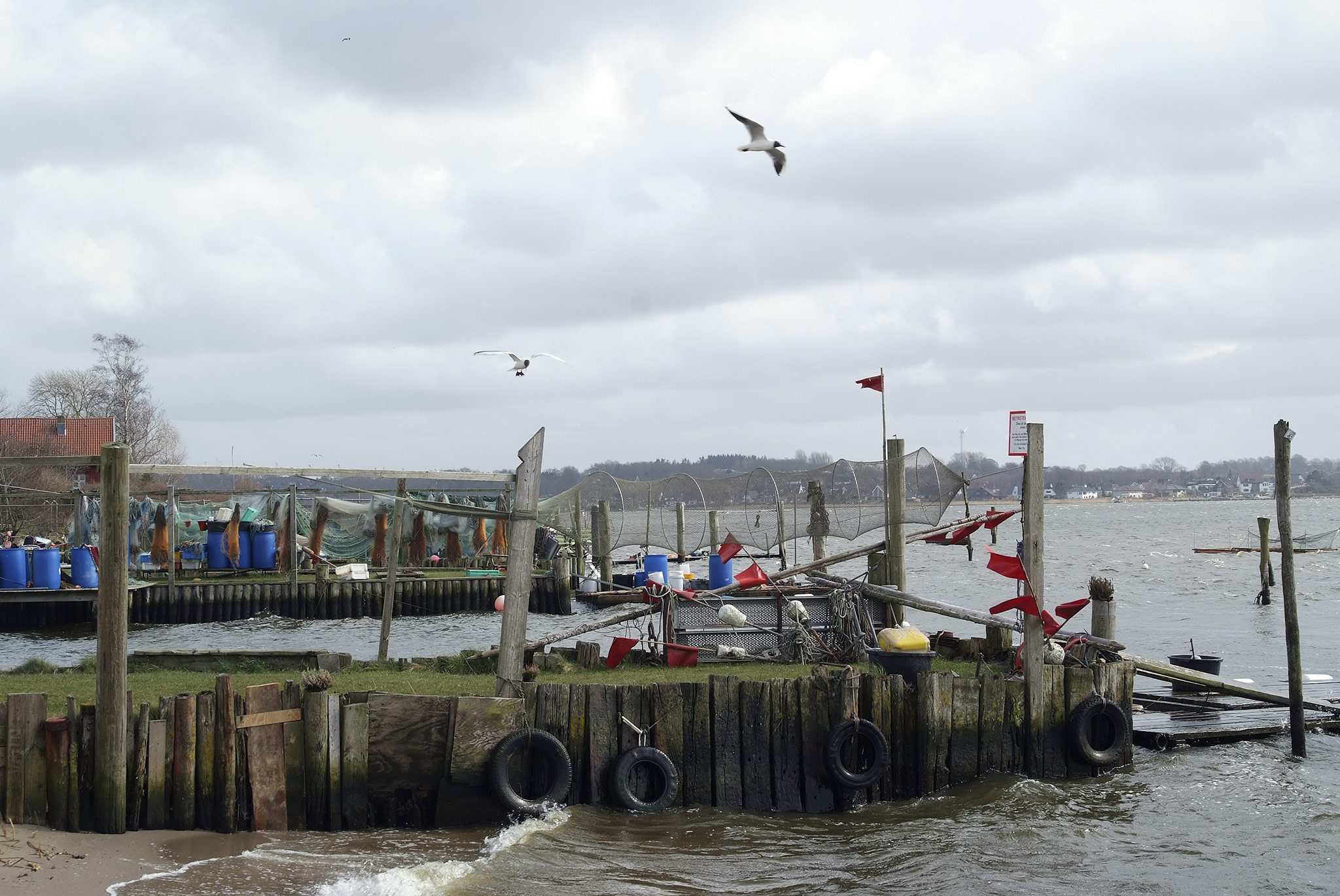 Schleswig